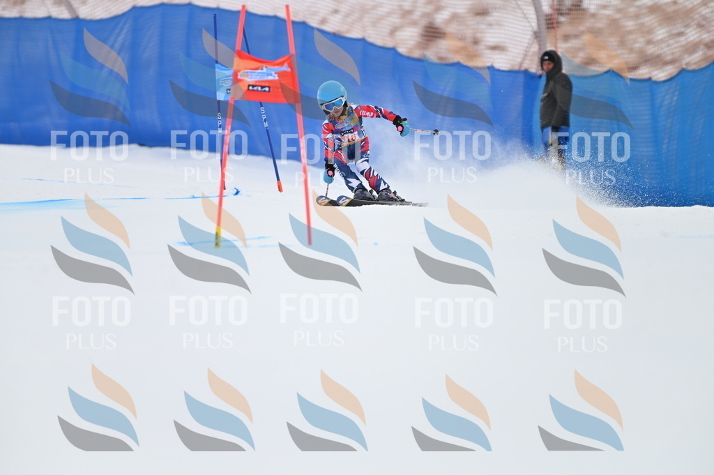 BGV_2890 | holidayphoto