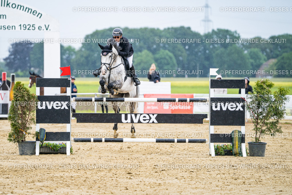 DSC08407 | Pferdegrafie