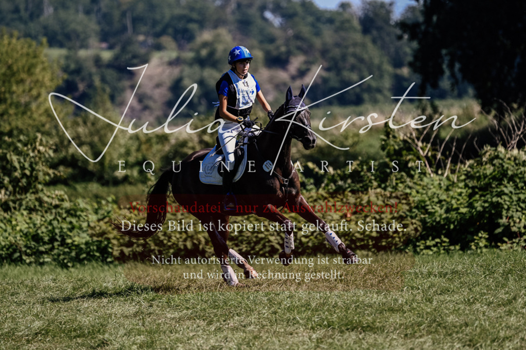 DSC_1704 | Pferde- und Turnierfotografie in Westsachsen. Pferdeportraits, Auftragszeichnungen und intuitive Kunst.