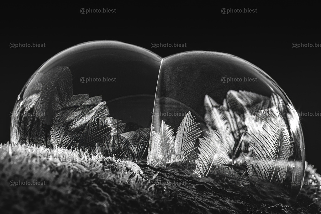 POFROST | Sorry für diesen Titel. Aber er passte zu gut! :) Gefrierende Seifenblasen bei Minus 8 Grad. - Realisiert mit Pictrs.com