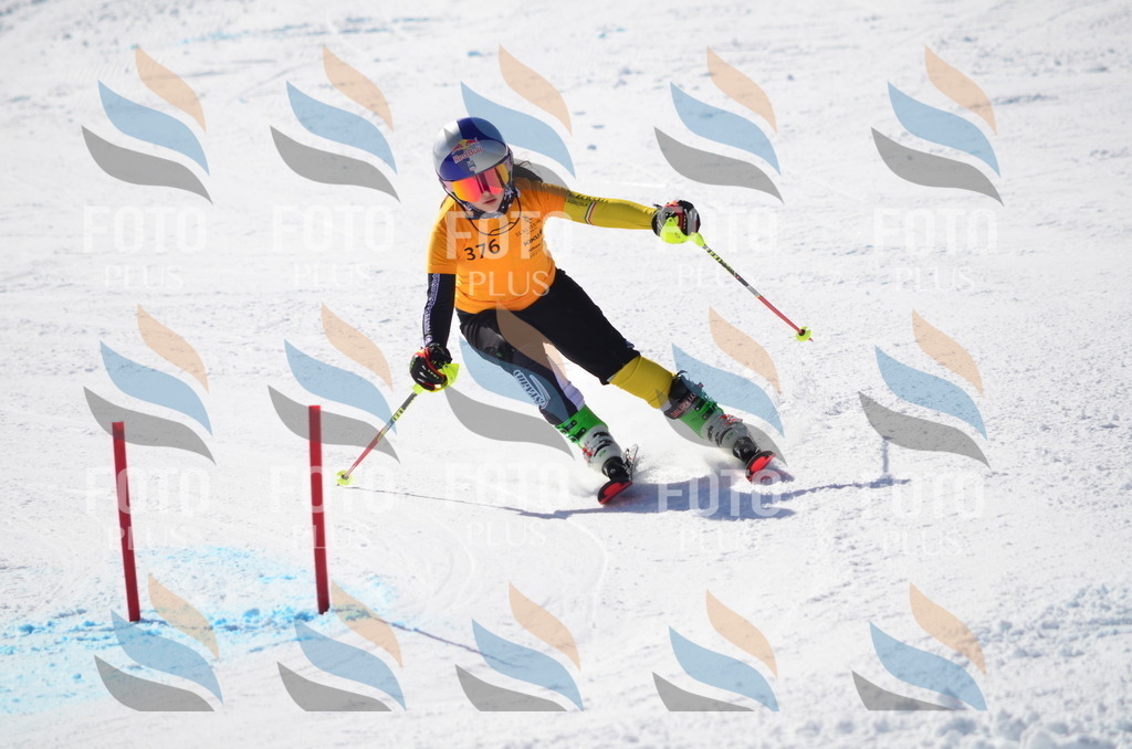 C9617 | holidayphoto