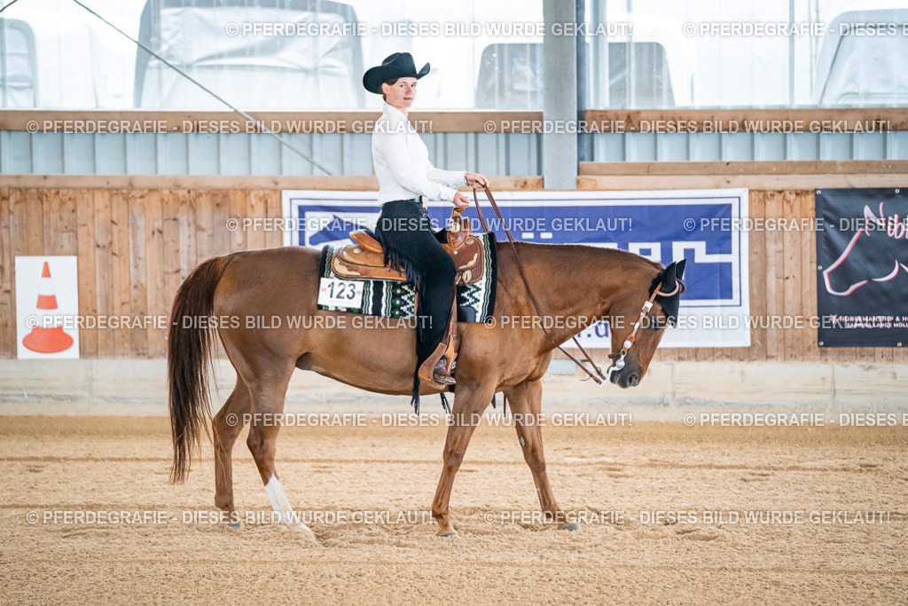 DSC01168 | Pferdegrafie