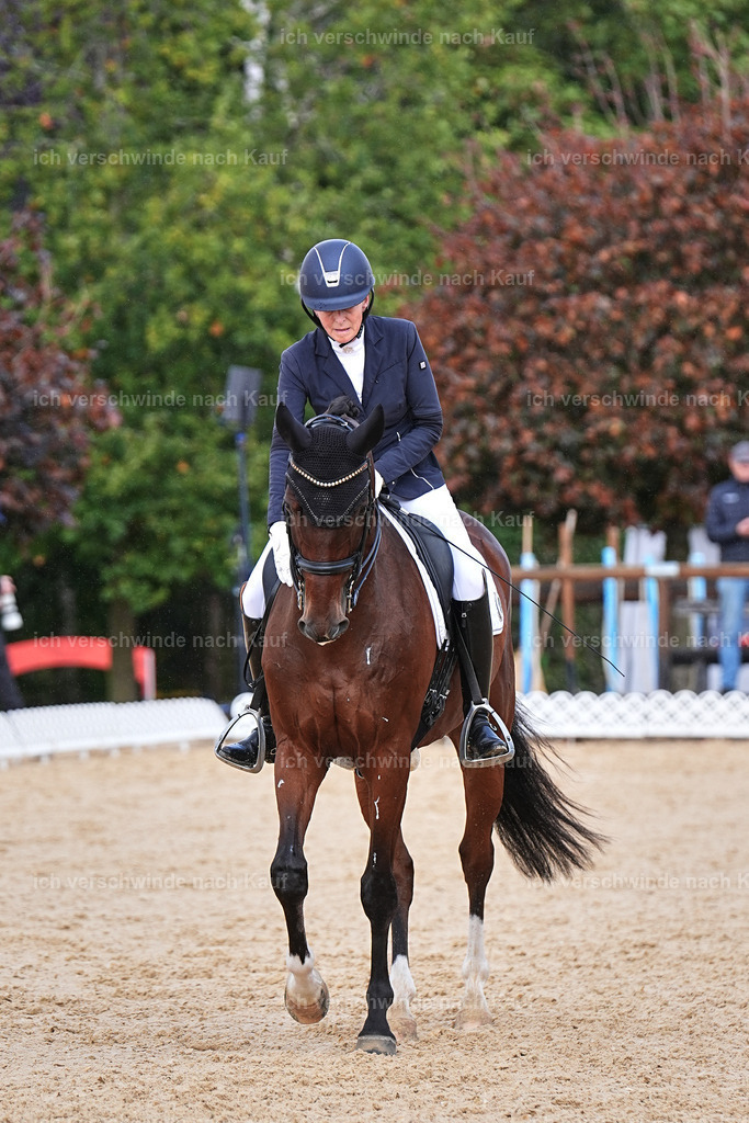 05-117-DRESSUR M_  -Marixx-4981 | working equitationturnier fotograf videograf stoibphotography marixx film working equitation deutschland reitsport turnierfotografie eventfotografie equestrian events