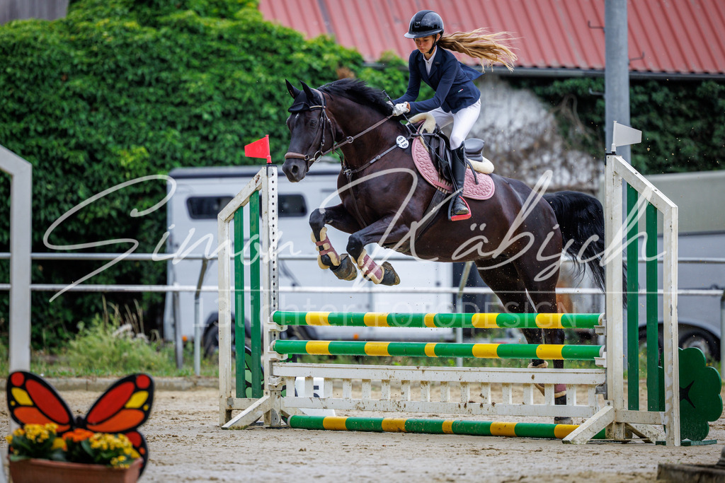 20260705-_3LI3593 | Tierfotografie Pferde, Hunde, Katzen, Haustiere.
Turnierfotografie Reitturniere, Reiten, Springreiten, Dressur in Hanau, dem Main-Kinzig-Kreis und dem Rhein-Main- Gebiet um Frankfurt