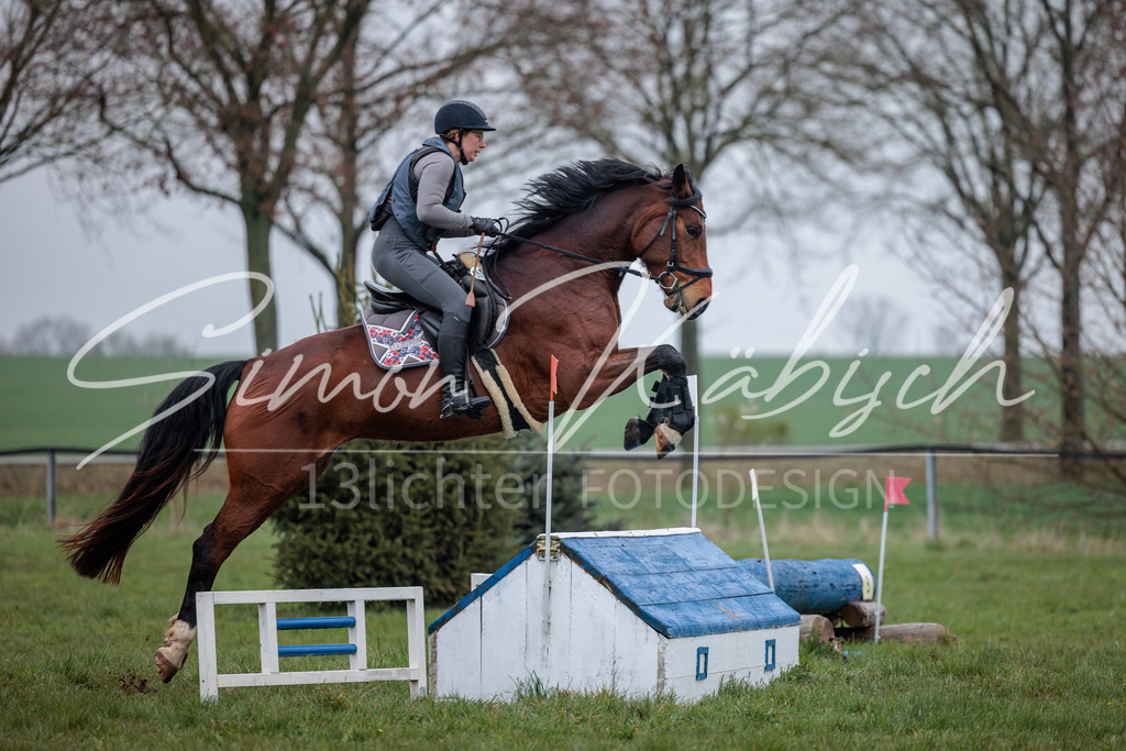 20260329-_3LI4033 | Tierfotografie Pferde, Hunde, Katzen, Haustiere.
Turnierfotografie Reitturniere, Reiten, Springreiten, Dressur in Hanau, dem Main-Kinzig-Kreis und dem Rhein-Main- Gebiet um Frankfurt