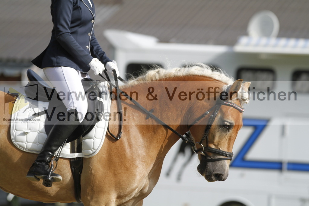 _MG_0176 | equestrian-live-com