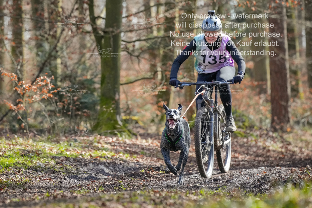 So3_Bike_2-1 | stephaniefillaphotographie - Realisiert mit Pictrs.com
