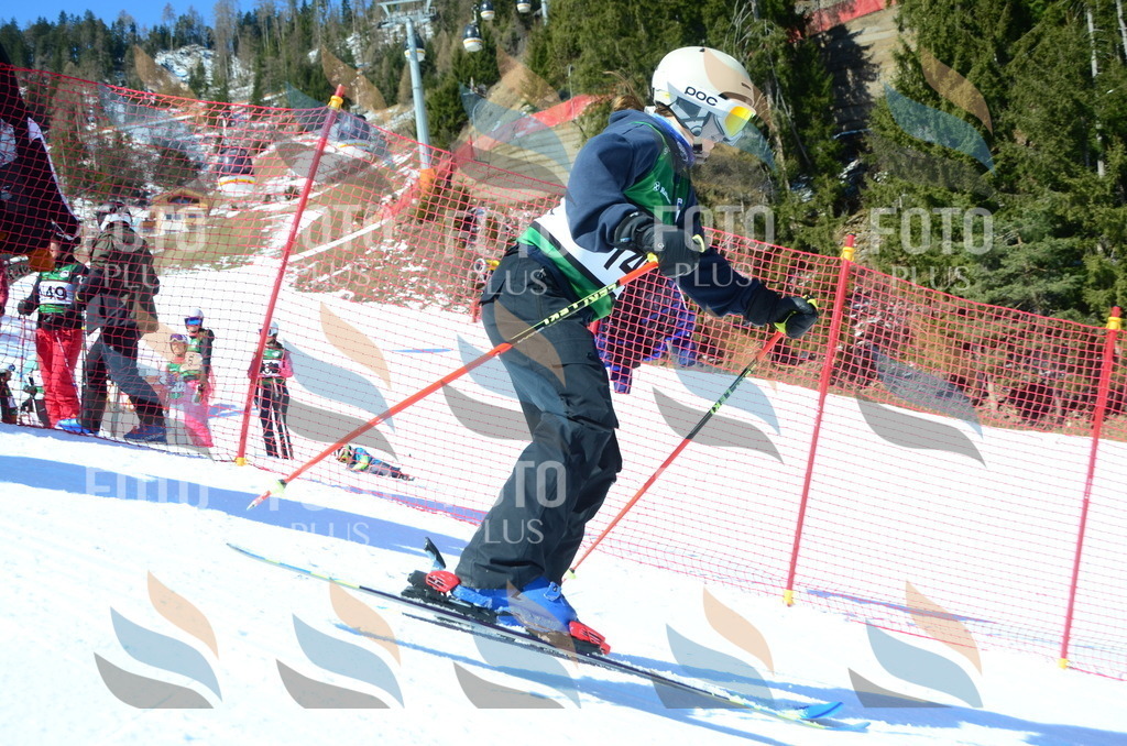 C6041 | holidayphoto