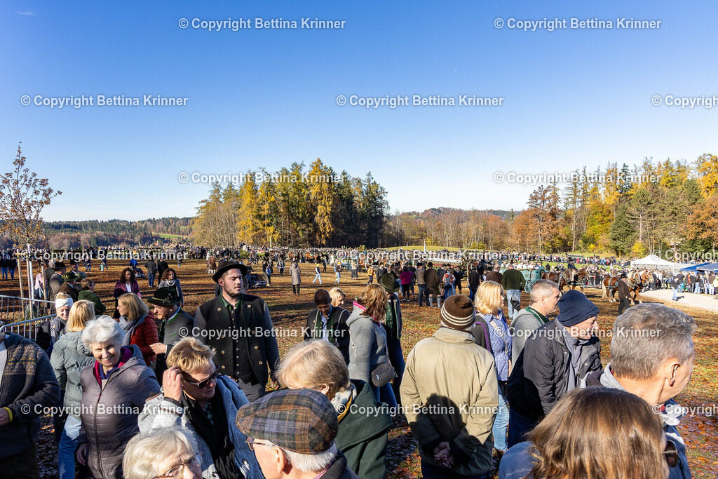 LBT25-1108 | foto-bettina-krinner - Realisiert mit Pictrs.com