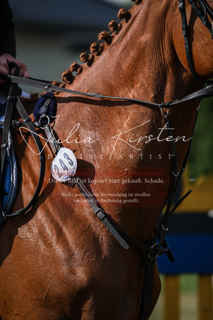 DSC_7818 | Pferde- und Turnierfotografie in Westsachsen. Pferdeportraits, Auftragszeichnungen und intuitive Kunst.