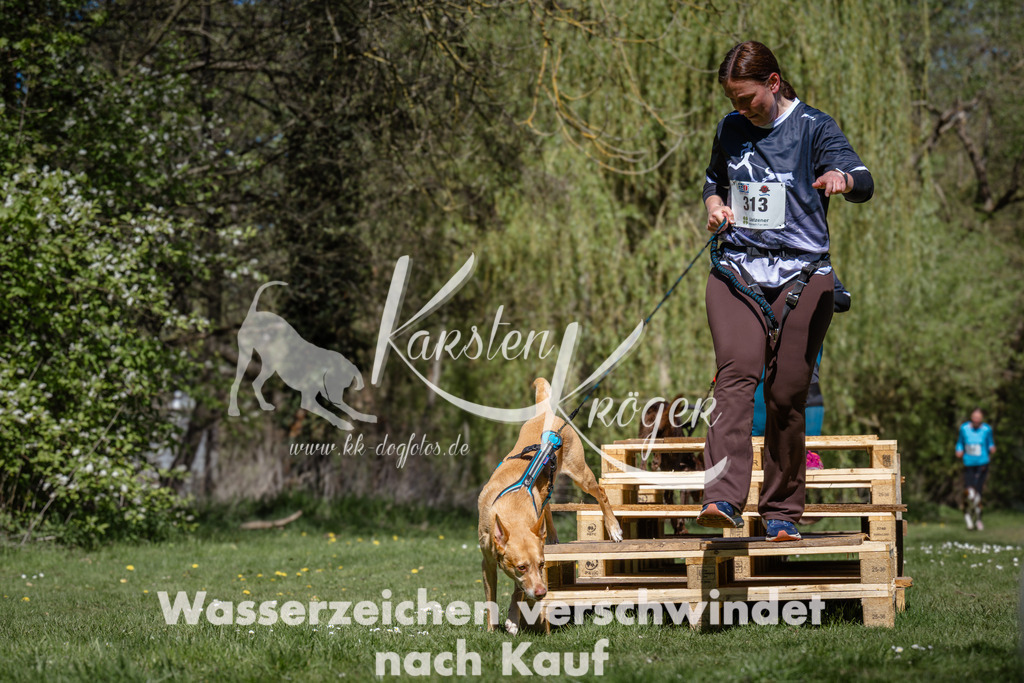 1210_ZZ90662 | kk-dogfotos
