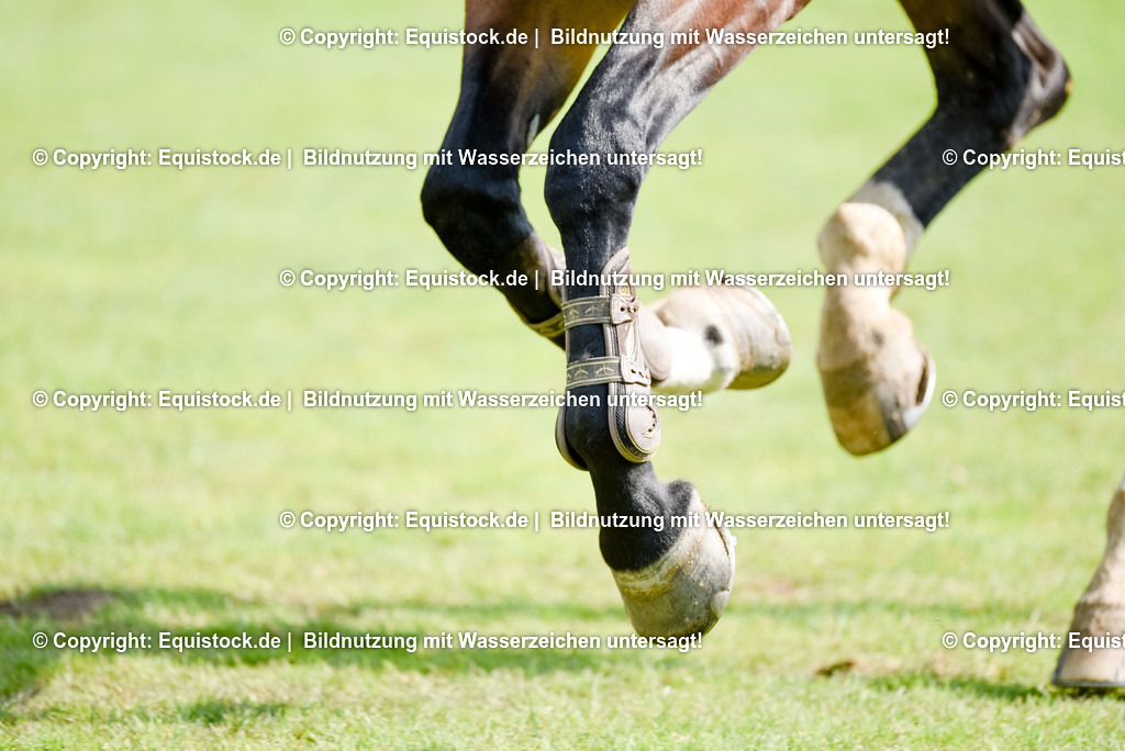 20250608_16_Quali-GP_Hess-Min-Präs_0249 | Foto: Thomas Hartig