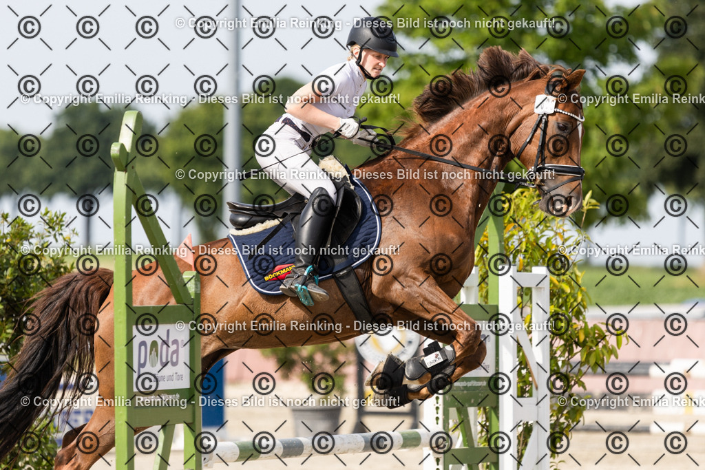 CL5A4532 | Emilia Reinking Fotografie - Realisiert mit Pictrs.com