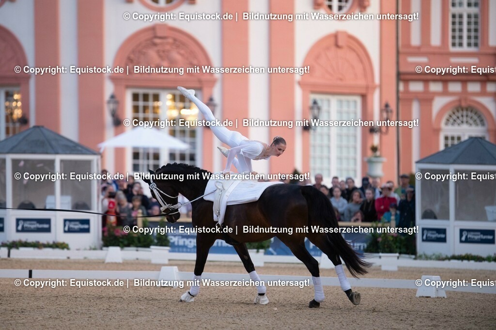 20230527_Voltigieren_NASPA_Flutlicht_0159 | equistock