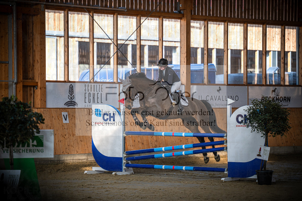 DOS_0172 | Entdecke hochwertige Reitturnierfotos von Foto Oger. Professionell, emotional und authentisch – jetzt Lieblingsmomente im Shop bestellen.Deutschlandweite Turnierfotografie. - Realisiert mit Pictrs.com