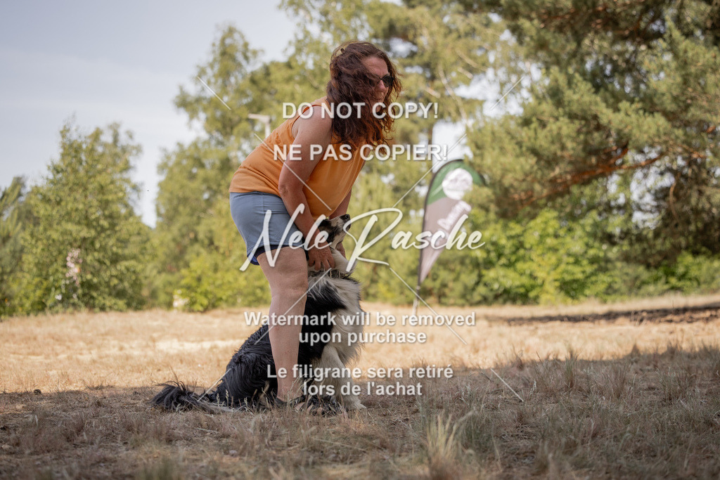 nelerasche_soDD2_460 | nelerasche