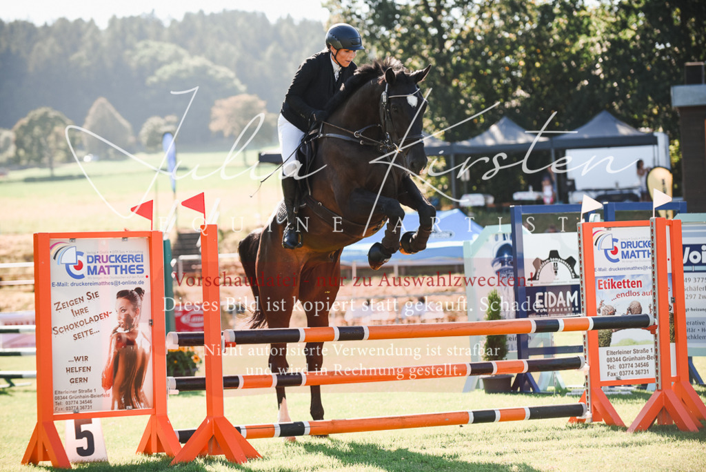 DSC_2351 | Pferde- und Turnierfotografie in Westsachsen. Pferdeportraits, Auftragszeichnungen und intuitive Kunst.