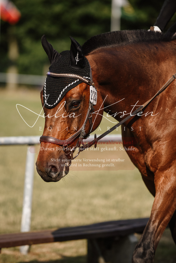 DSC_3513 | Pferde- und Turnierfotografie in Westsachsen. Pferdeportraits, Auftragszeichnungen und intuitive Kunst.