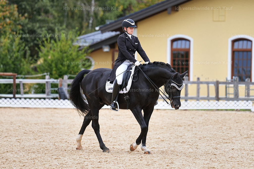 11-093-Dressur S___-Marixx-1557 | working equitationturnier fotograf videograf stoibphotography marixx film working equitation deutschland reitsport turnierfotografie eventfotografie equestrian events