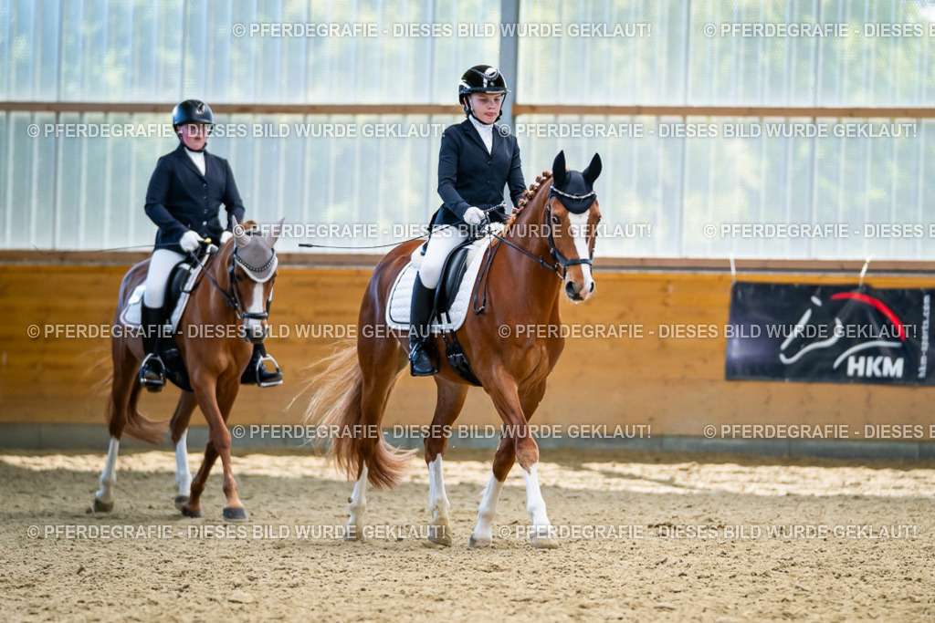 DSC05396 | Pferdegrafie