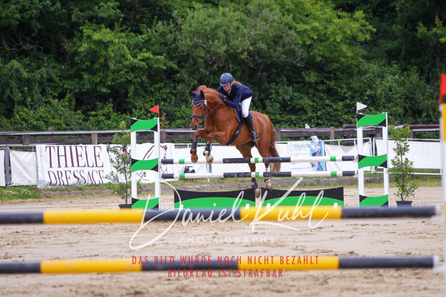 DKP41846 | Turniersportfotografie; Pferdefotografie; Dressurfotografie