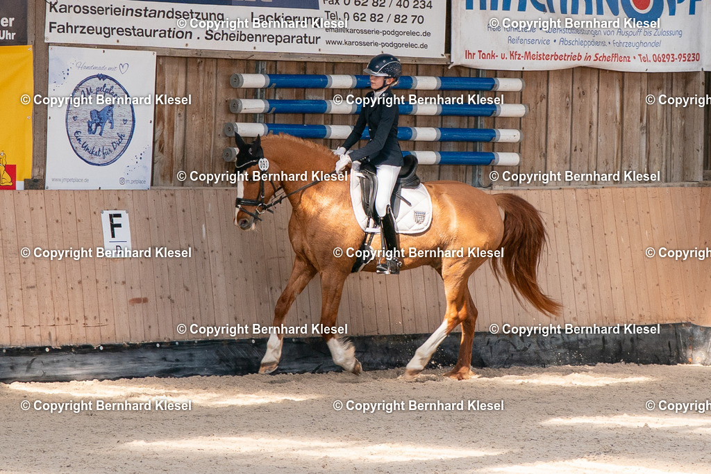 2A902833 | foto-team-bernhard - Realisiert mit Pictrs.com