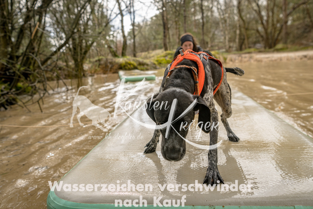1319_ZZ90169 | kk-dogfotos