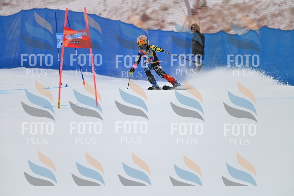 BGV_0960 | holidayphoto