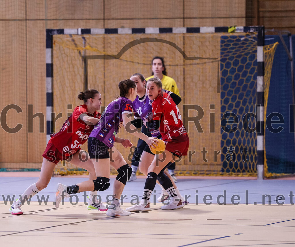 2025-02-22_002_SpVgg_Altenerding_gegen_TG_Landshut | Erding, Deutschland, 22.02.2025:Handball, Bezirksoberliga Frauen Altbayern 2024 / 2024, 15. Spieltag, SpVgg Altenerding gegen TG Landshut, Endergebnis: 25:22Sophia Steinherr (TG Landshut, #58), Julia Kranich (SpVgg Altenerding, #9), Isabella Gschossmann (TG Landshut, #14)Foto: Christian Riedel / fotografie-riedel.net
