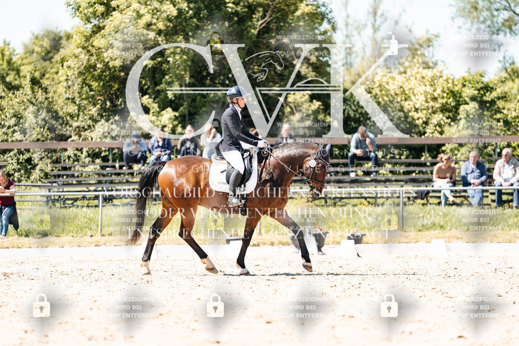 CK905704 | Turnierfotografie Pferdefotografie Trier Rheinland-Pfalz Pferdesport Reitsport Tierfotografie Sportfotografie Pferdevideo Pferdevideografie Equestrianvideography equestrianphotography  - Realisiert mit Pictrs.com