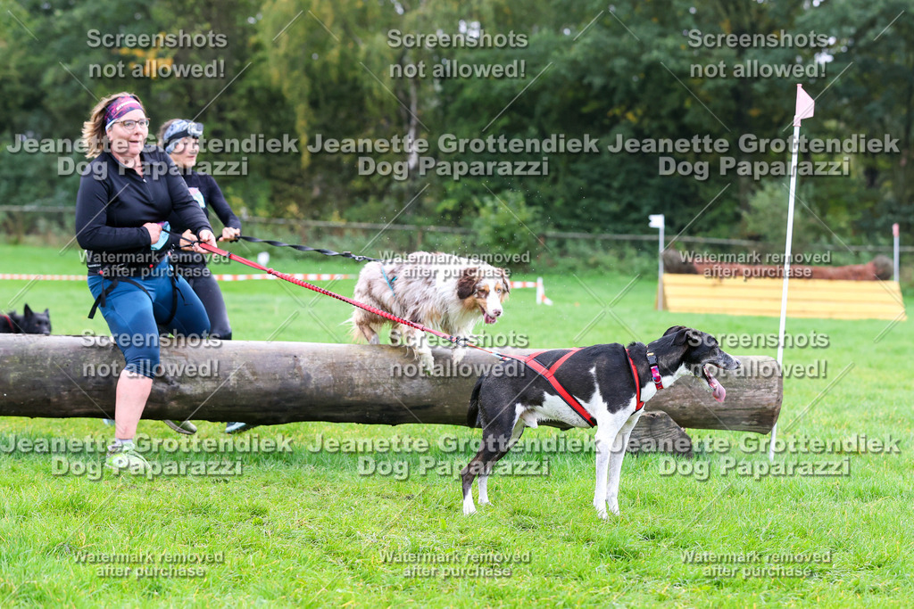 Dog Paparazzi -  SD1026-1087 | Dog Paparazzi Jeanette Grottendiek Fotografie & Videografie - Realisiert mit Pictrs.com