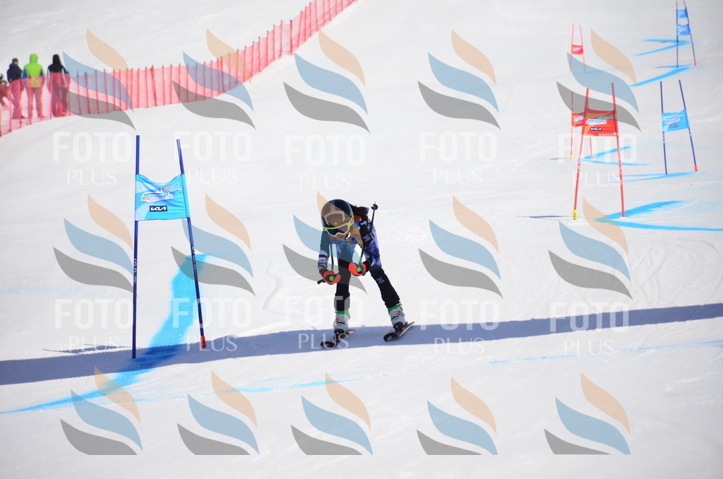 VR4_9645 | holidayphoto