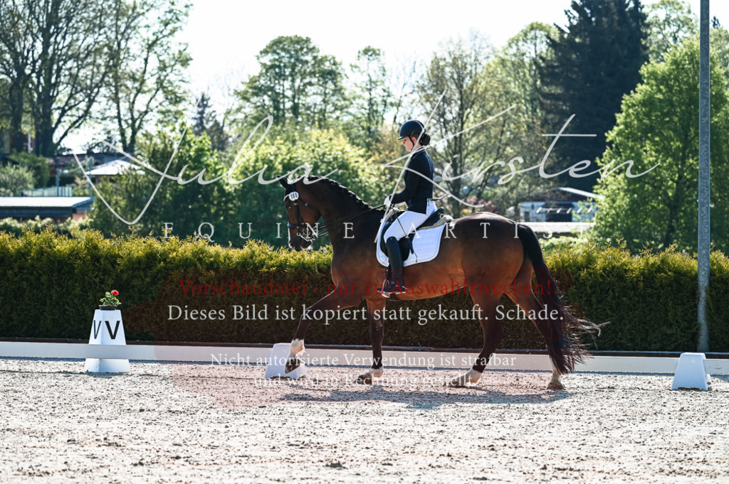 20230513_JK-Röhrsdorf-10-0055 | Pferde- und Turnierfotografie in Westsachsen. Pferdeportraits, Auftragszeichnungen und intuitive Kunst.