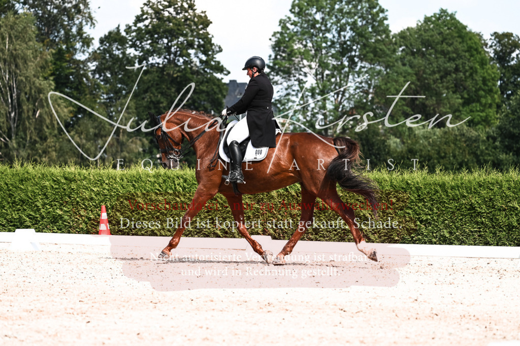 DSC_3246 | Pferde- und Turnierfotografie in Westsachsen. Pferdeportraits, Auftragszeichnungen und intuitive Kunst.