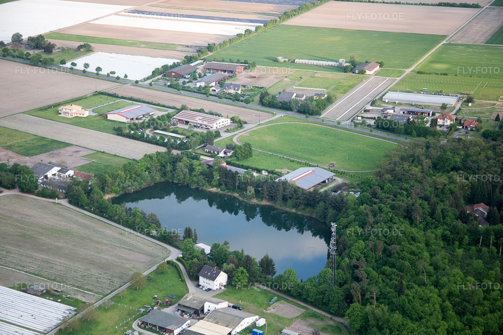 Luftbild: Angelsee ASV Lorsch Einhausen im Ortsteil Hüttenfeld in Lampertheim im Bundesland Hessen in Deutschland. Foto: IMG_088300.jpg vom 09.05.2016 durch Werner Riehm/FLY-FOTO.de