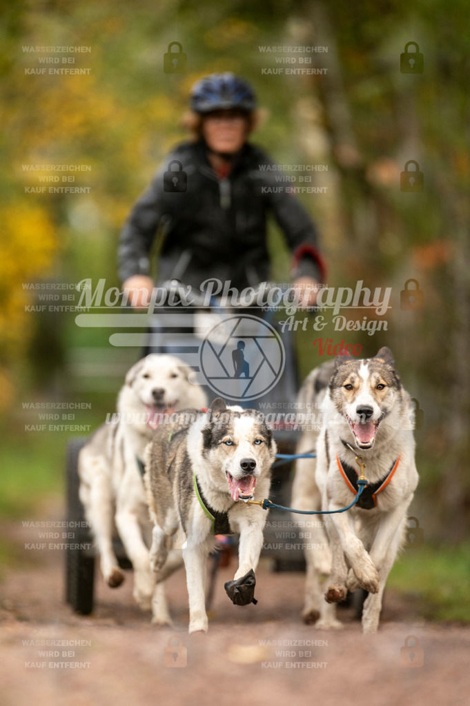 TSB_2023_E4_Kart-12 | mompixphotography