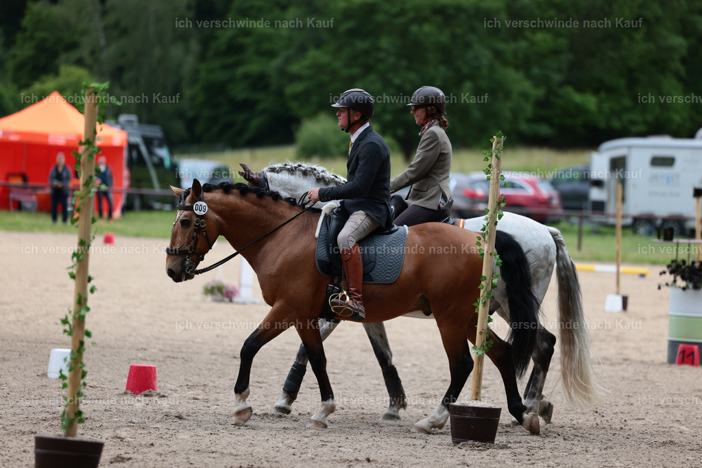 Masterclass_stoibphotography_C2_L6624.JPG | working equitationturnier fotograf videograf stoibphotography marixx film working equitation deutschland reitsport turnierfotografie eventfotografie equestrian events