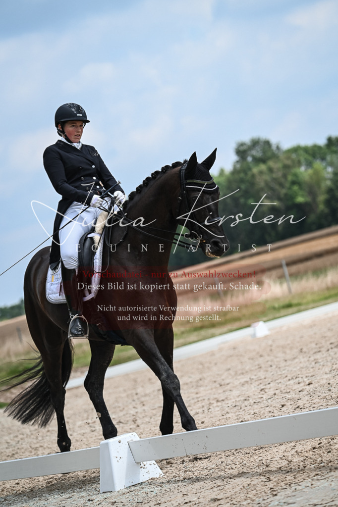 DSC_2524 | Pferde- und Turnierfotografie in Westsachsen. Pferdeportraits, Auftragszeichnungen und intuitive Kunst.