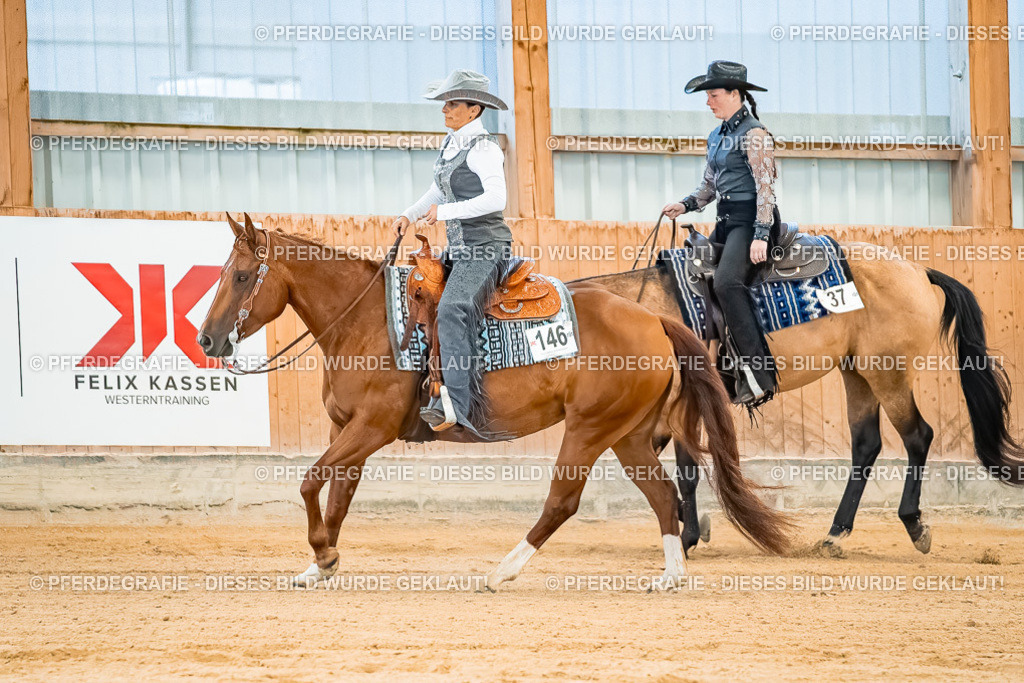 DSC09981 | Pferdegrafie