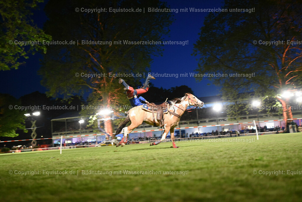 20230526_Pferdenacht_1339 | equistock