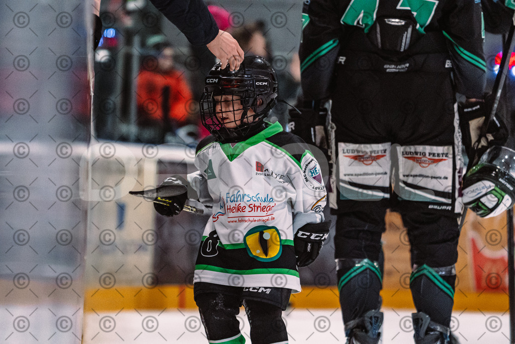 Alligators_vs_Erding_01_02_2026-33 | Höchstadt Alligators Fotogalerie: Eishockey-Action aus Franken. Professionelle Spielfotos, Portraits & Stadionbilder zum Download. Jetzt entdecken! - Realisiert mit Pictrs.com