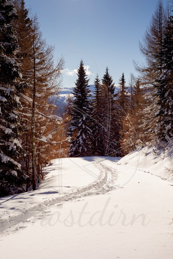 Winterzauber Aineck | Bei Veröffentlichung des Bildes ist eine Namensnennung wie folgt erforderlich: 
Foto: Mostdirn Irmgard Wieser
 - Realisiert mit Pictrs.com