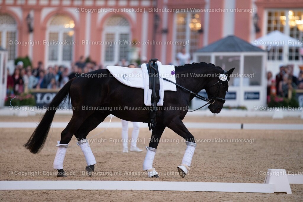 20230527_Voltigieren_NASPA_Flutlicht_0198 | equistock