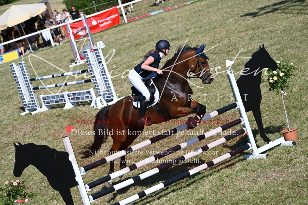 DSC_2088 | Pferde- und Turnierfotografie in Westsachsen. Pferdeportraits, Auftragszeichnungen und intuitive Kunst.