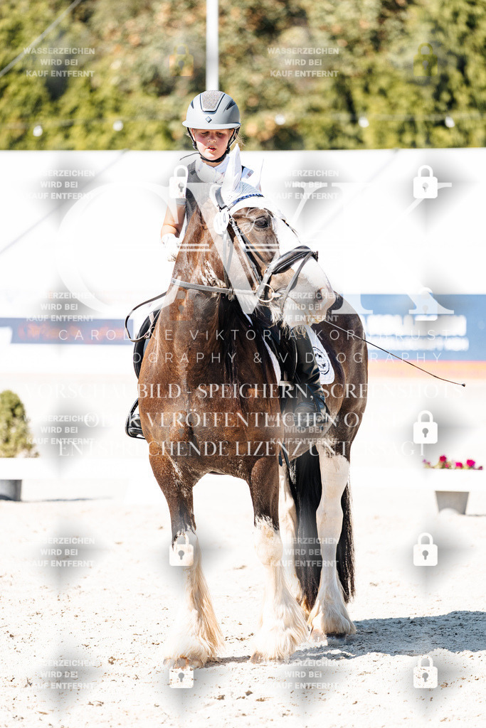 CK903036 | Turnierfotografie Pferdefotografie Trier Rheinland-Pfalz Pferdesport Reitsport Tierfotografie Sportfotografie Pferdevideo Pferdevideografie Equestrianvideography equestrianphotography  - Realisiert mit Pictrs.com