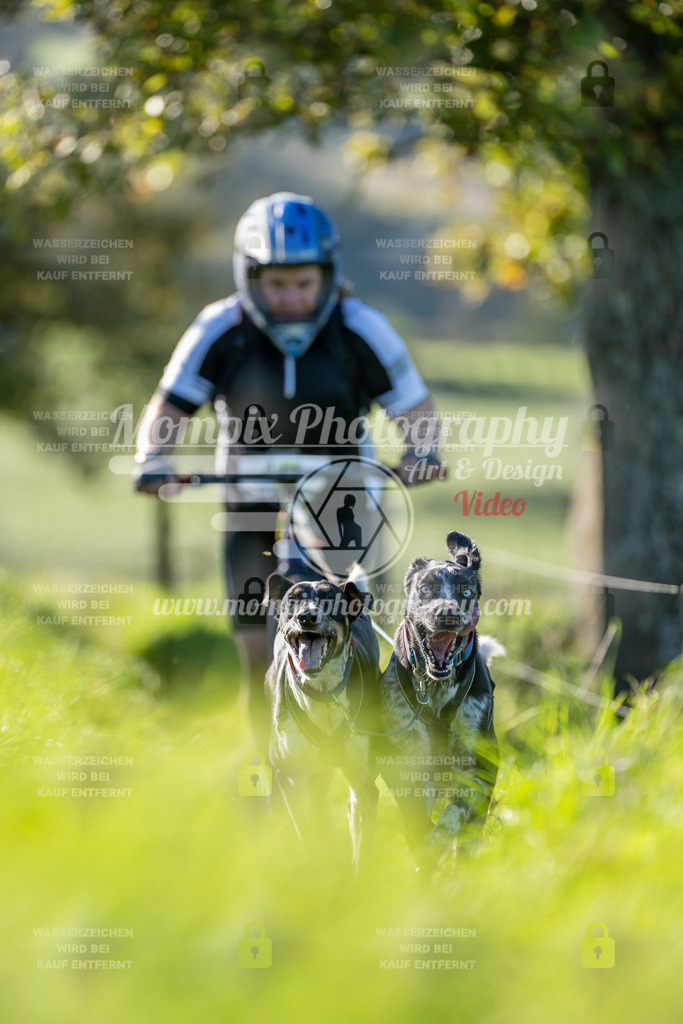 MompixPhotography_20TSB_E3_DS2-37 | PayLife
