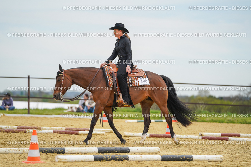 DSC03004 | Pferdegrafie