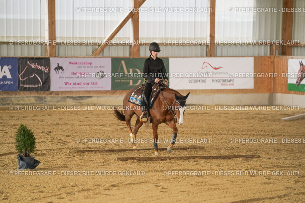 DSC05823 | Pferdegrafie