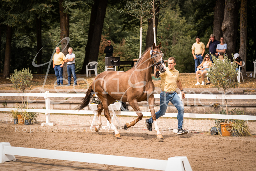 4.Fr00036 | Leoni Ertmer Photography - Realisiert mit Pictrs.com