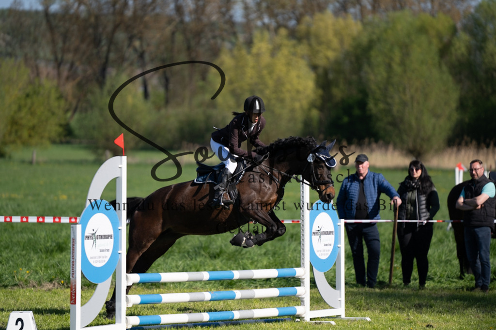 A7V01598 | Pferdefotograf